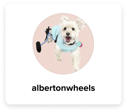 Social creator albertonwheels