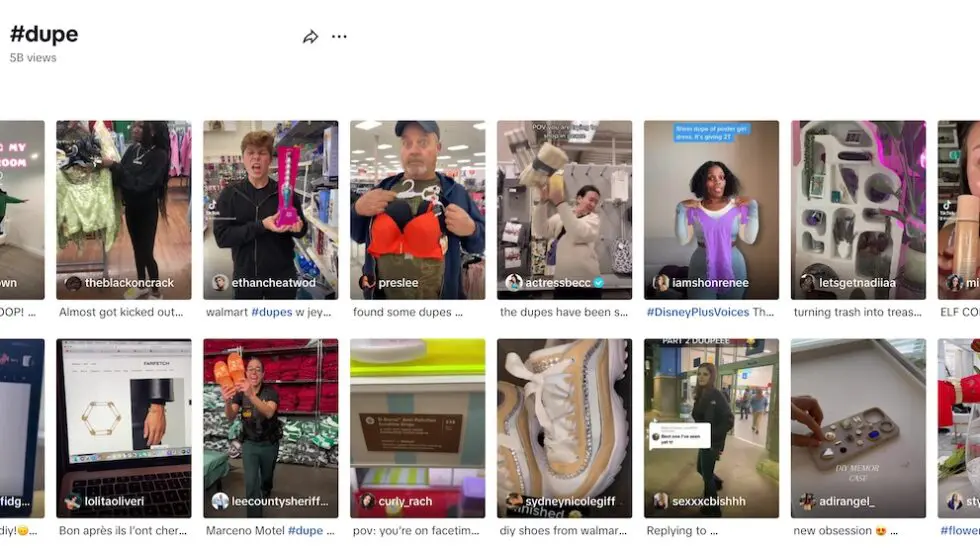 Dupe culture - a screenshot of the TikTok search page for "dupes" shows over 5 million results