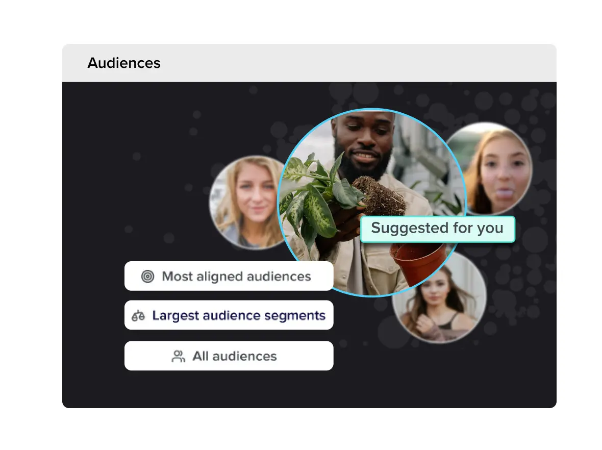 Audience insights graphic with audience suggestions